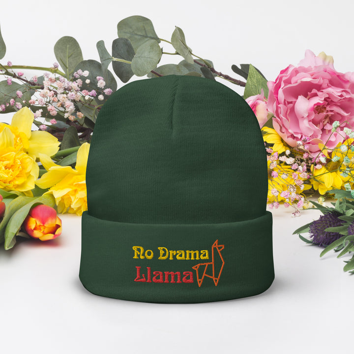 No Drama Embroidered Beanie